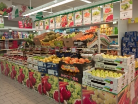 W pierwszym półroczu 2015 wszystkie spółki Grupy JM zwiększyły sprzedaż