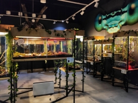 Galeria Północna