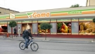 Gama